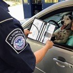 LumiMokki Magnetic Car Document Holder - Black