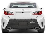 BumperBully Outdoor Rear Bumper Guard - Black