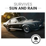 Car Guys Plastic Restorer – 8 Oz Kit