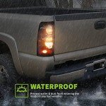 AUTOSAVER88 Tail Lights for Chevy Silverado & GMC Sierra