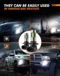 SEALIGHT 6000K LED Fog Light Bulbs (2-Pack)