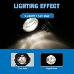 AUTOWIKI Fog Lights for Nissan Frontier & Pathfinder