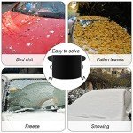 Winter Windshield Snow Cover with Mirror Shields