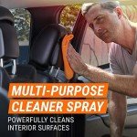 All-in-One Car Wash and Interior Cleaner Kit