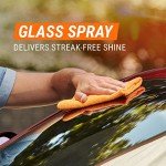 All-in-One Car Wash and Interior Cleaner Kit