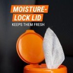 Armor All Protectant Wipes: 30 Count Interior Cleaner