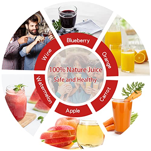 Heavy-Duty Stainless Steel Fruit and Wine Press