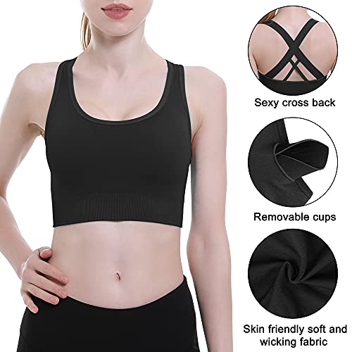 Padded High Impact Seamless Sports Bra for Women