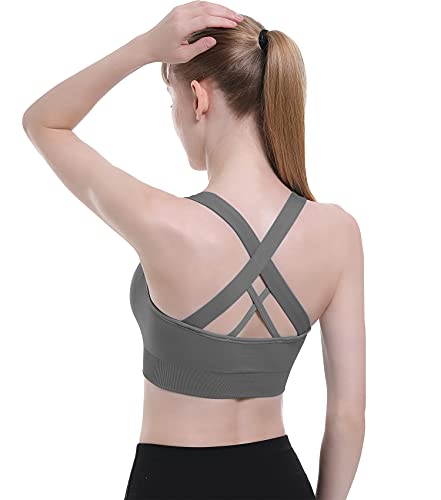 Padded High Impact Seamless Sports Bra for Women