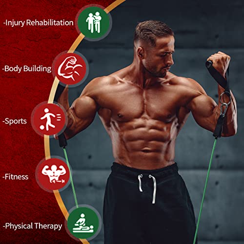 VEICK Resistance Bands for Home Workouts