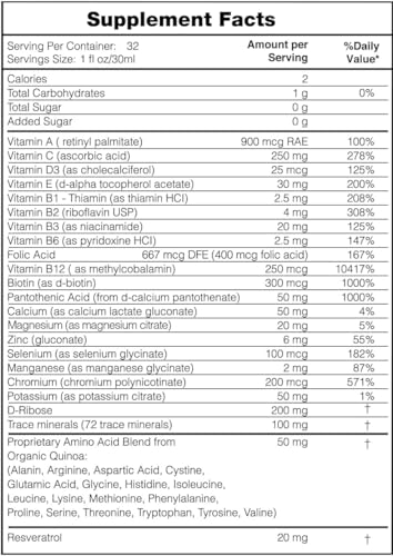 Passion 4 Life Mega Liquid Multivitamins & Minerals