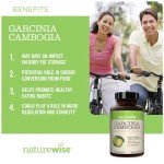 Garcinia Cambogia for Metabolic Support and Weight Control