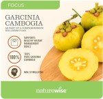 Garcinia Cambogia for Metabolic Support and Weight Control