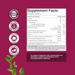 Apple Cider Vinegar Gummies for Weight Loss Support