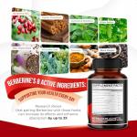 Berberine Supplement with Ceylon Cinnamon & Turmeric