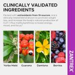 Zantrex SkinnyStix Berry Fusion Energy Drink Mix