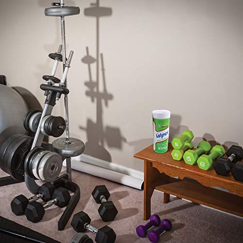 Wipex 75ct Gym Equipment Cleaner Wipes - Watermelon