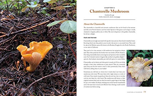 Wild Mushrooms Cookbook for Healthy Weight Loss