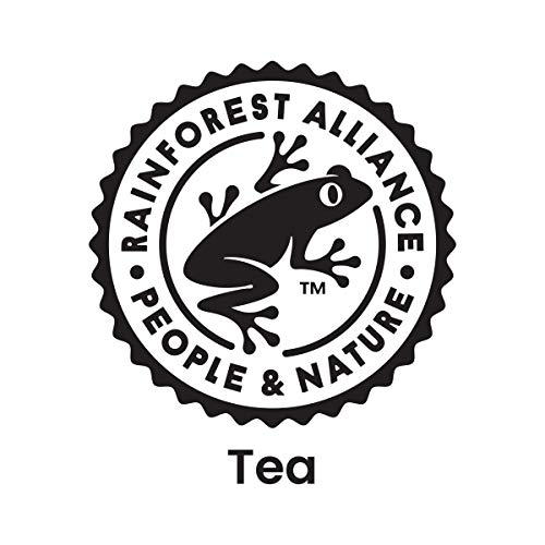 Unsweetened Green Tea - 12 Bottles, 18.5 fl oz