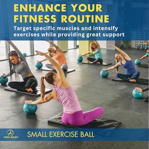 9-Inch Mini Pilates & Yoga Exercise Ball