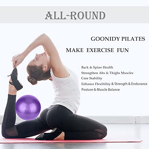 9-Inch Mini Pilates Ball for Core Training