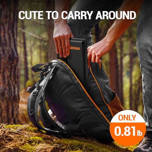 GOODaaa 10W Foldable Solar Charger with Dual USB Outputs