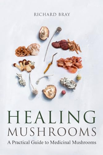 Healing Mushrooms: Your Practical Guide to Wellness
