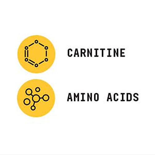 L-Carnitine Powder for Exercise and Recovery – 30 Servings