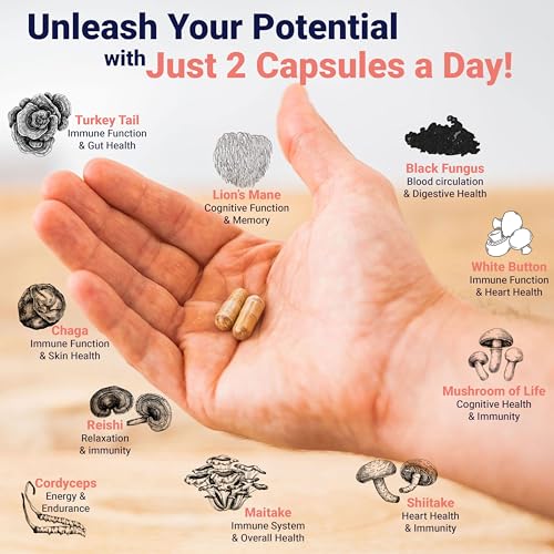 Premium Mushroom Complex Capsules for Immune Support