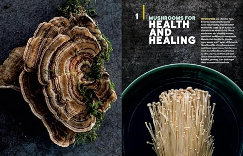 Medicinal Mushrooms: Boost Immunity & Memory