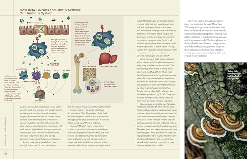 Medicinal Mushrooms: Boost Immunity & Memory