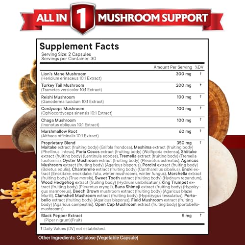 New Age 20-in-1 Mushroom Supplement, 120 Count