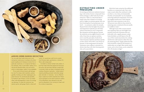 Medicinal Mushrooms: Boost Immunity & Memory