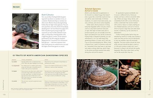 Medicinal Mushrooms: Boost Immunity & Memory