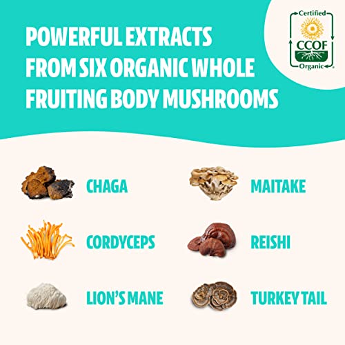 Ultimate Mushroom Complex for Immunity and Focus