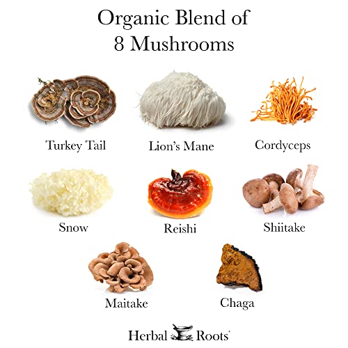 Organic Mushroom Blend Supplement Capsules - 60 Count