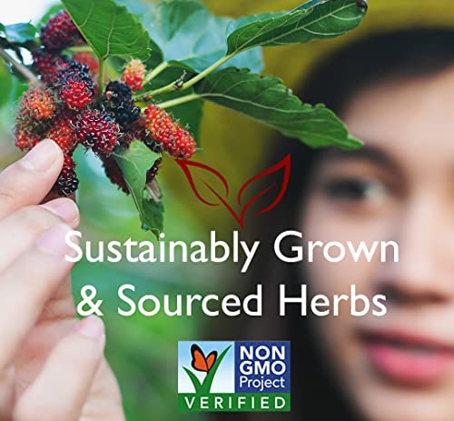 Caffeine-Free 6 Mushroom Defense Herbal Tea Bags