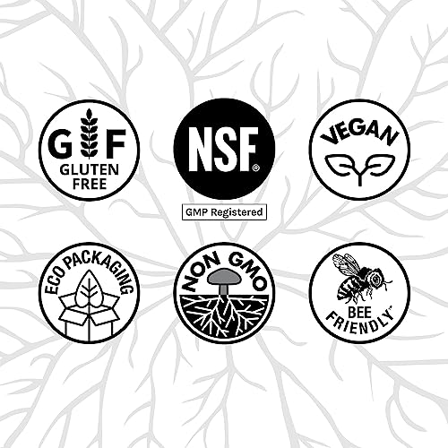 MycoBotanicals Brain Support Capsules with Mushrooms