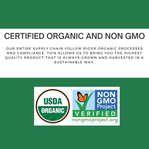 Organic Ginger Powder - 8 oz | Non-GMO & Raw