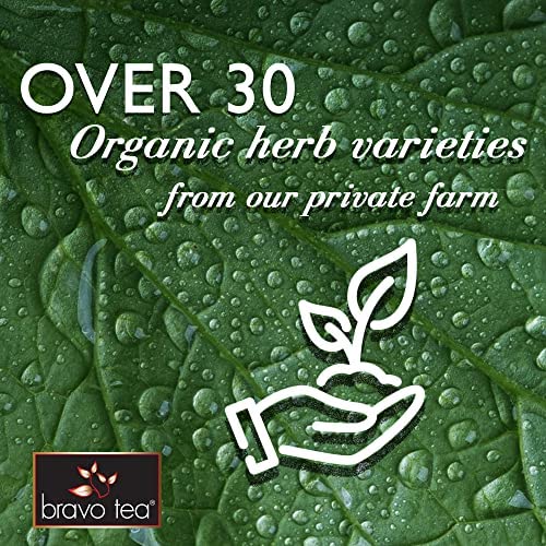 Caffeine-Free 6 Mushroom Defense Herbal Tea Bags