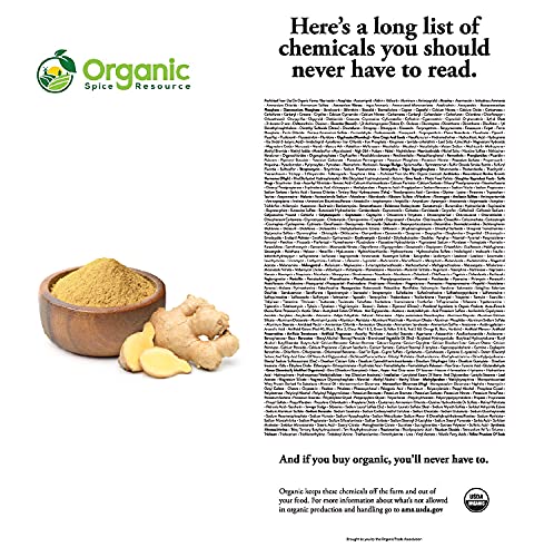 Organic Ginger Powder - 8 oz | Non-GMO & Raw