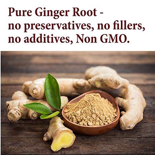 The Spice Way Pure Ginger Powder - 8 oz