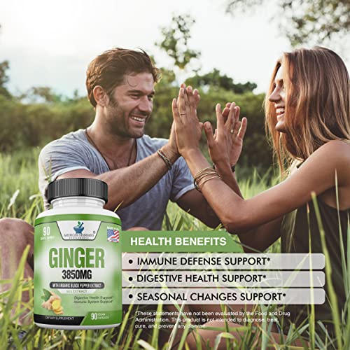 Organic Ginger Capsules with Black Pepper Extract