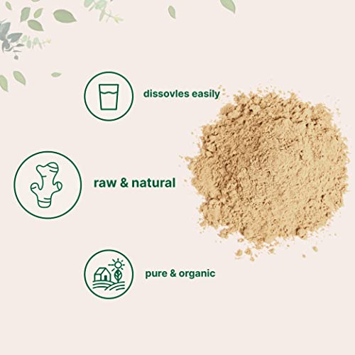 Organic Ginger Powder, 2lbs - Spice & Seasoning