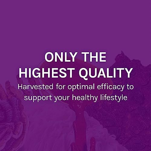 Host Defense MyCommunity Mushroom Immune Support Extract
