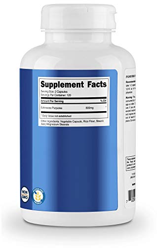 Nutricost Echinacea 800mg - 240 Vegetarian Capsules