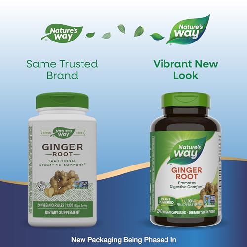 Nature's Way Ginger Root for Digestive Health, 240 Caps