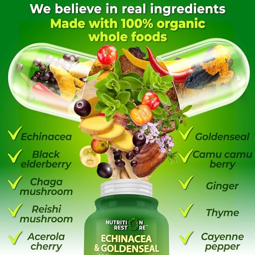 Echinacea Goldenseal Immune Support Capsules - 1455mg