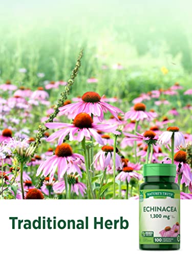Echinacea Extract Capsules 1300mg - 100 Count