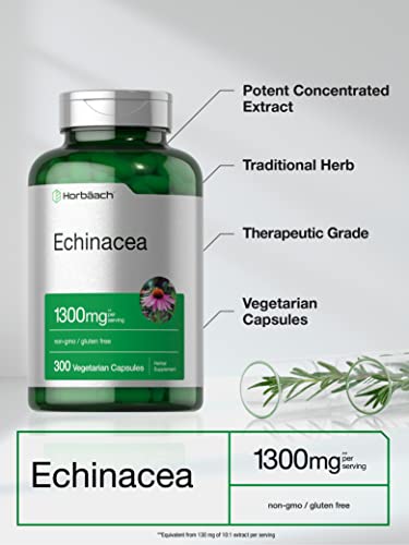 Echinacea Extract Capsules 1300mg | 300 Count Vegan